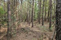 Undeveloped Land for sale in Marion County, Alabama
