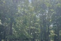 Undeveloped Land for sale in Carbon County, Pennsylvania