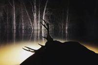 Farm and Ranch in Claiborne County, Mississippi