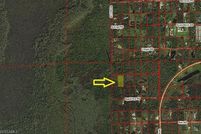 Undeveloped Land for sale in Collier County, Florida