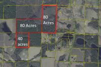 Undeveloped Land for sale in Walton County, Florida