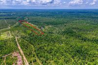 Timberland Property for sale in Bay County, Florida