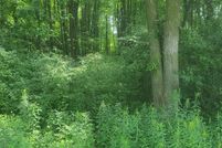 Farm and Ranch for sale in Saint Clair County, Michigan