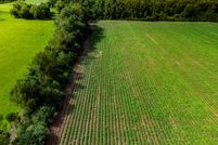 Land for sale in Houston County, Alabama