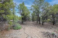 Undeveloped Land in Garfield County, Utah