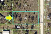Undeveloped Land in Hernando County, Florida