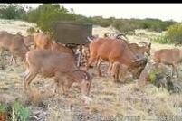 Undeveloped Land in Val Verde County, Texas