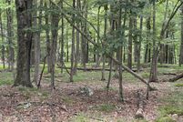 Undeveloped Land for sale in Wayne County, Pennsylvania