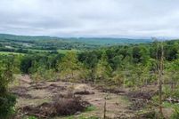 Undeveloped Land for sale in Preston County, West Virginia