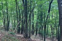 Land for sale in Franklin County, Virginia