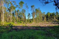 Homesite for sale in Ware County, Georgia