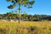 Land for sale in Ware County, Georgia