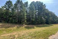 Undeveloped Land for sale in Camp County, Texas