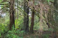 Land for sale in Pacific County, Washington