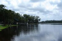 Undeveloped Land for sale in Wakulla County, Florida