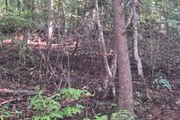 Land for sale in Fannin County, Georgia