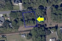 Undeveloped Land in Brevard County, Florida