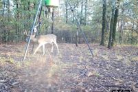 Land for sale in Wood County, Texas