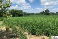 Farm and Ranch for sale in McCracken County, Kentucky