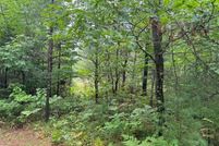 Undeveloped Land in Marinette County, Wisconsin