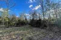Undeveloped Land for sale in Marion County, Arkansas