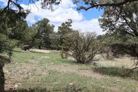Land for sale in Catron County, New Mexico