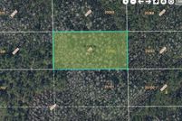 Undeveloped Land for sale in Orange County, Florida