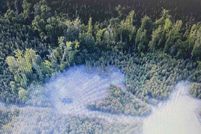 Undeveloped Land for sale in Caswell County, North Carolina