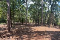 Undeveloped Land in Franklin County, Texas