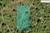 Undeveloped Land for sale in Polk County, Florida