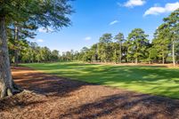 Undeveloped Land in Montgomery County, Texas