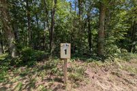 Land for sale in Fannin County, Georgia