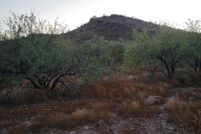 Land for sale in Maricopa County, Arizona