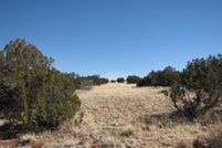 Undeveloped Land for sale in Navajo County, Arizona