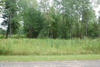 Undeveloped Land for sale in Ogemaw County, Michigan