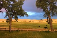 Undeveloped Land in Sheridan County, Wyoming