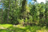 Undeveloped Land for sale in Ware County, Georgia