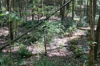 Land for sale in Lee County, Alabama