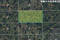 Undeveloped Land for sale in Orange County, Florida