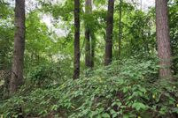 Land for sale in Wood County, Texas