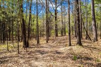 Undeveloped Land for sale in Drew County, Arkansas