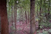 Undeveloped Land for sale in Gilmer County, Georgia