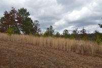 Undeveloped Land in Union County, Georgia