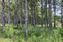 Undeveloped Land for sale in George County, Mississippi