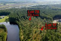 Undeveloped Land in Camden County, Georgia