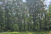 Undeveloped Land in Schuylkill County, Pennsylvania