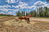 Land in Lexington County, South Carolina