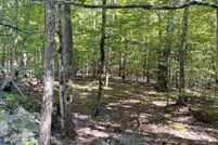 Farm and Ranch for sale in Wayne County, Pennsylvania