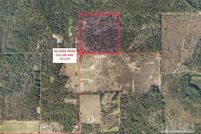Land for sale in Baldwin County, Alabama