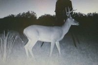 Farm and Ranch for sale in Edwards County, Texas